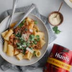 Instant Pot Pulled Pork Ragu