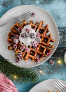 Grain-Free Gingerbread Waffles