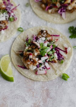 Fish Tacos with Cilantro-Radish Salsa