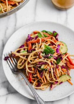 cold sesame noodle salad with rice noodles